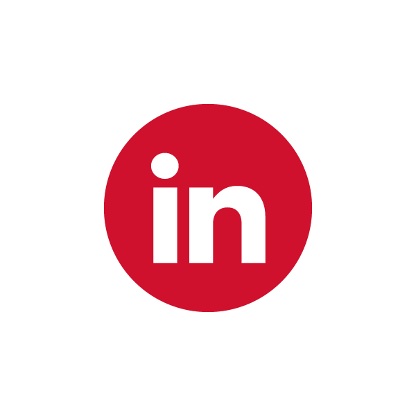 SM icons_LI